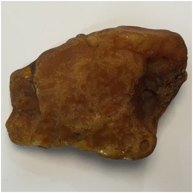 Amber nugget