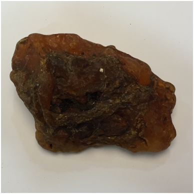 Amber nugget 2