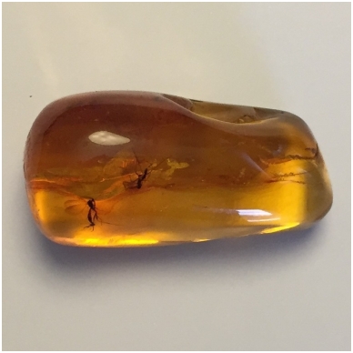 Amber with an inclusion