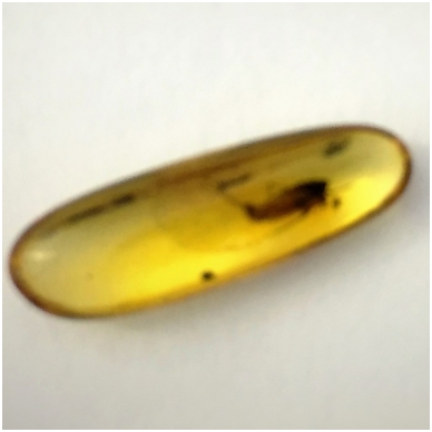 Amber inclusion in the special box 2